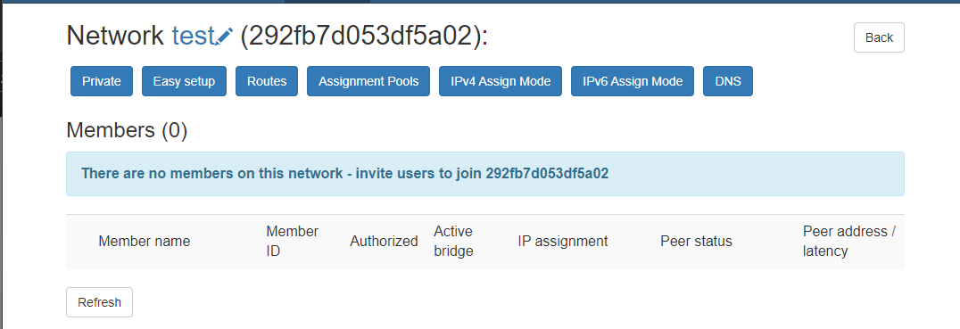 zerotier_network_info